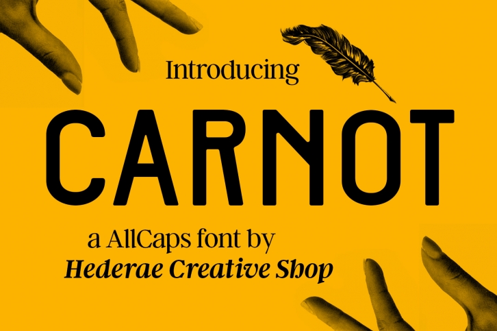 Carnot Typeface Font Download