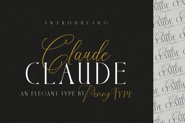Claude Font Duo Font Download