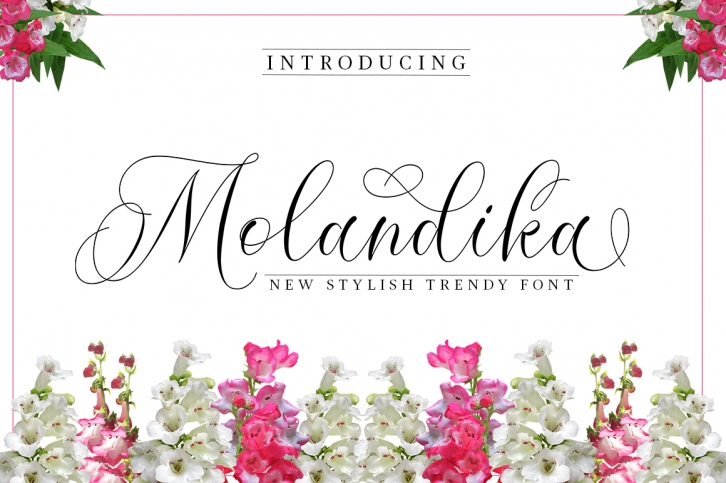 Molandika Script - Elegant Font Font Download