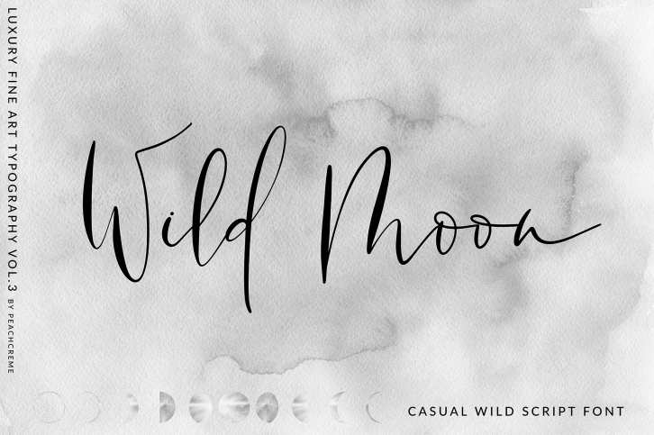 Wild Moon - Casual Script Font Font Download