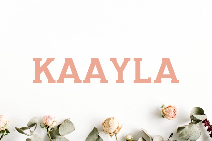 Kaayla Slab Serif 4 Font Pack Font Download