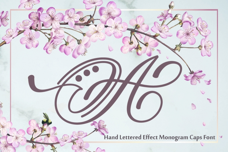 Hand Lettered Effect Monogram Font Download