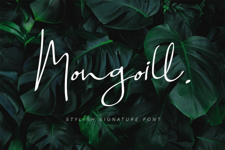Mongoill - Stylish Signature Font Font Download
