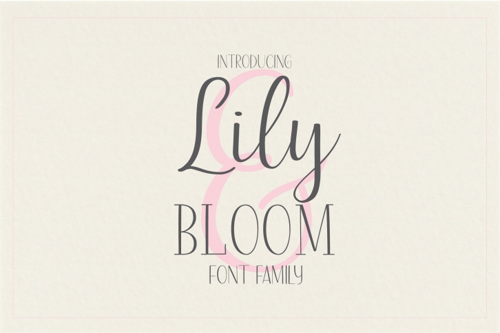Lily & Bloom Font Download