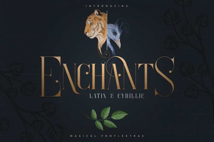 Enchants - Magical font - Extras Font Download