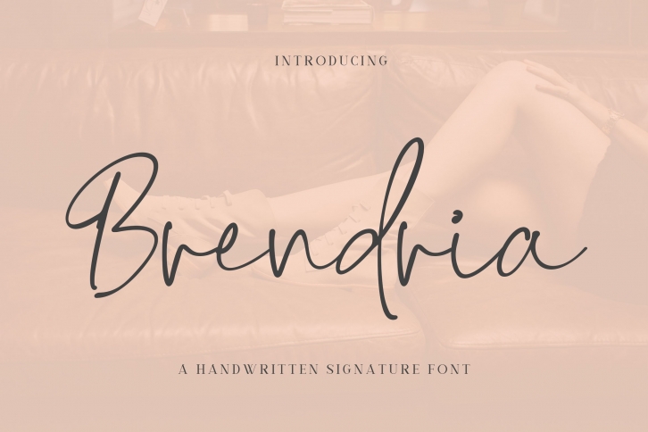 Brendria - Signature Font Font Download