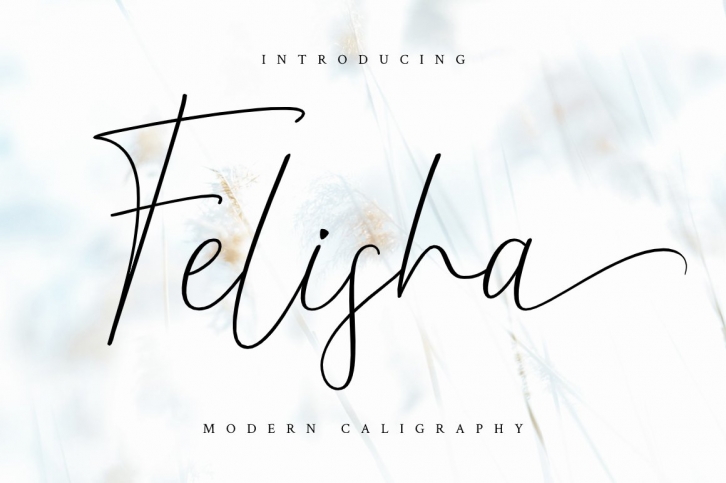 Felisha Font Download