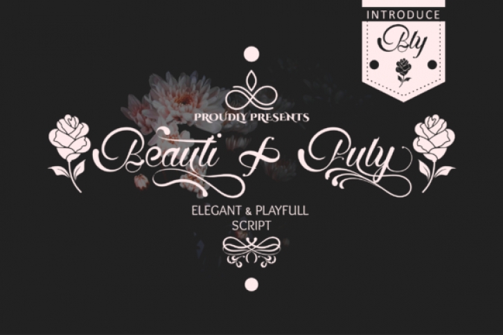 Beautifuly Font Download