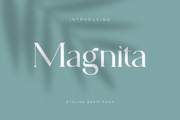 Magnita Serif Font Font Download