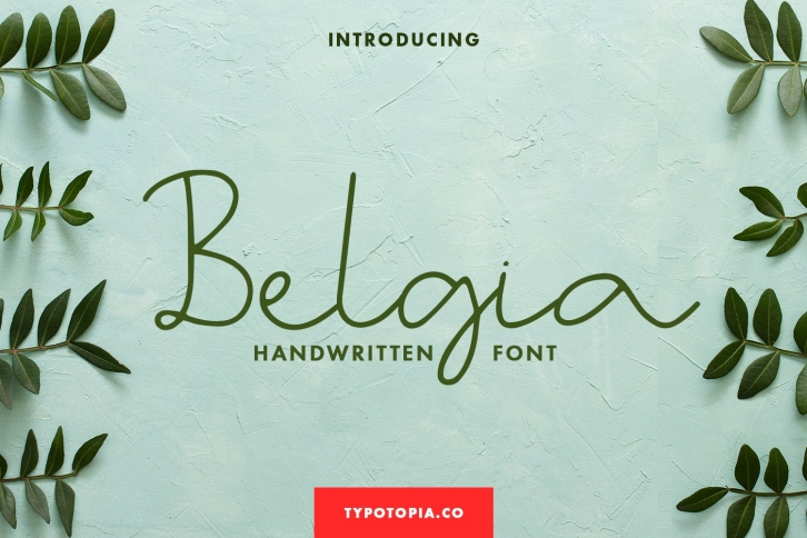 Belgia Handwritten Font Font Download