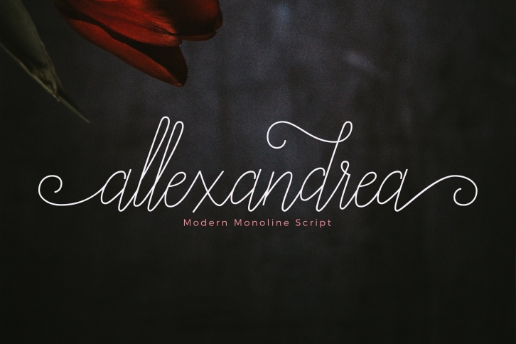 Allexandrea Script Font Download