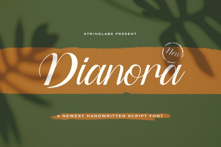 Dianora - Handwritten Script Font Font Download