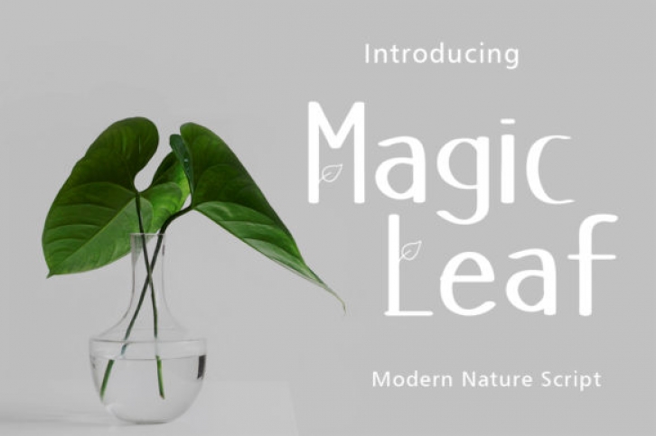 Magic Leaf Font Download