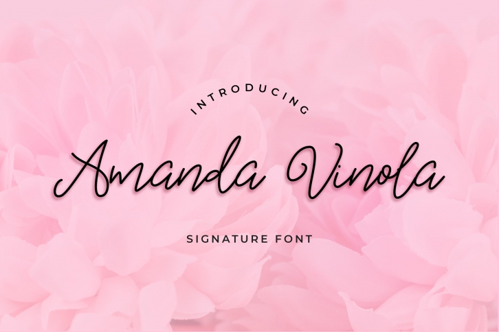 Amanda Vinola Handwritten Script Font Font Download