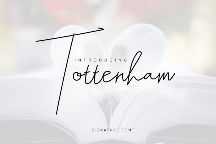Tottenham - Script Signature Font Download
