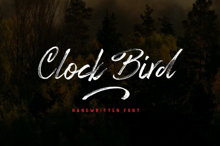 Clock bird Font Download