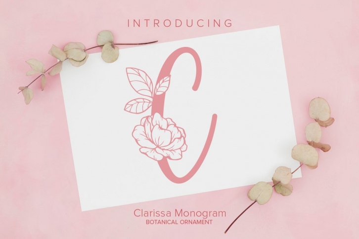 Clarissa Monogram Font Download