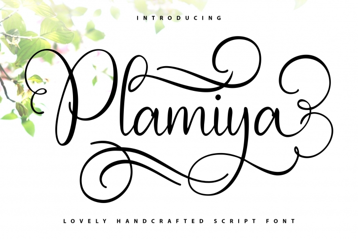 Plamiya Font Download