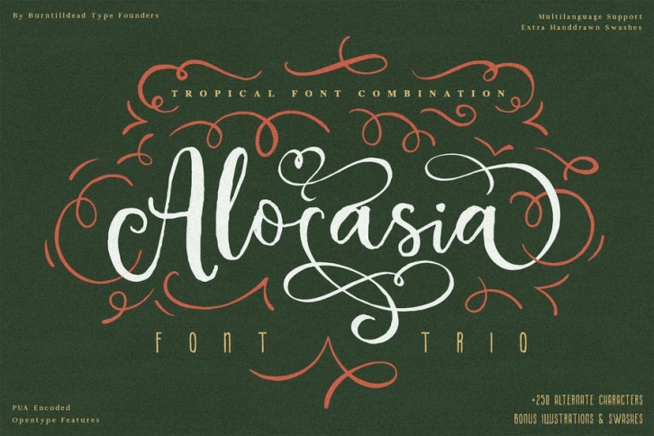Alocasia-Trio Font Combination Font Download