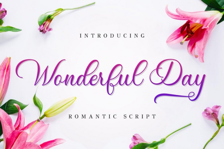 Wonderful Day - Romantic Script Font Download