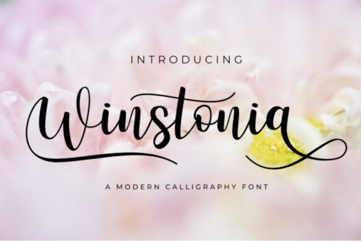 Winstonia Font Download