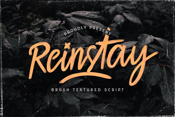 Reinstay - Brush Textured Script Font Font Download