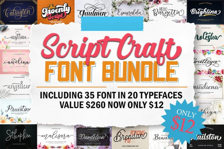 Script Craft Font Bundle Font Download