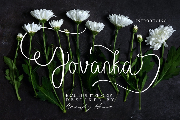 Jovanka Font Download