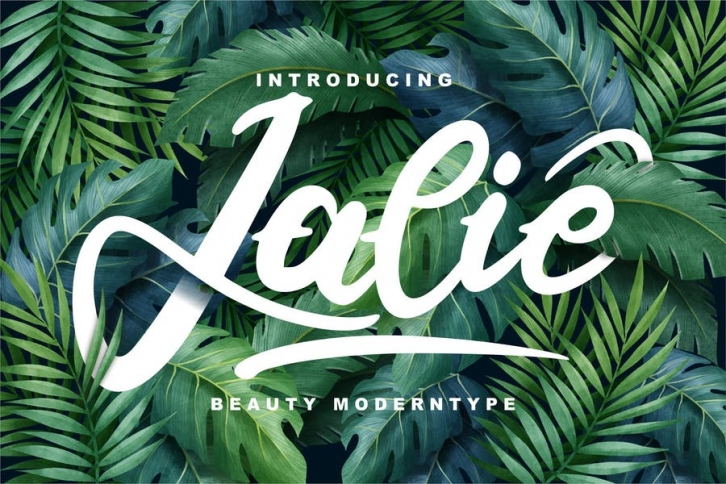 Jalie | Beauty Moderntype Font Download