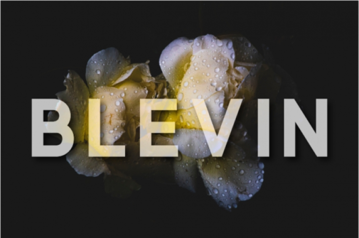 Blevin Font Download