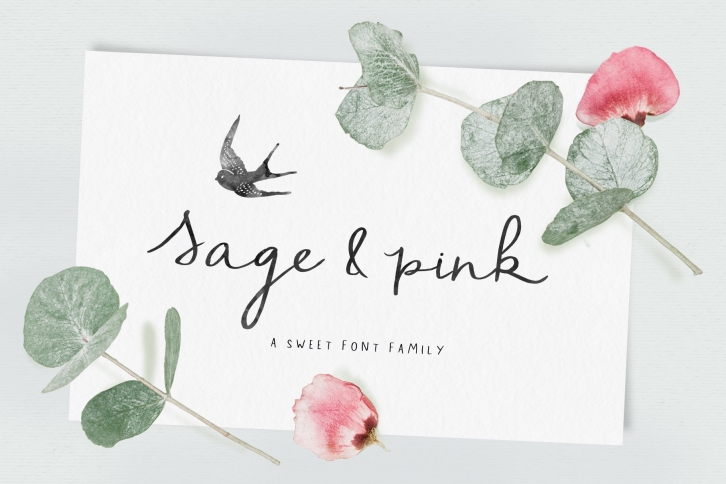 Sage and Pink Font Family Font Download