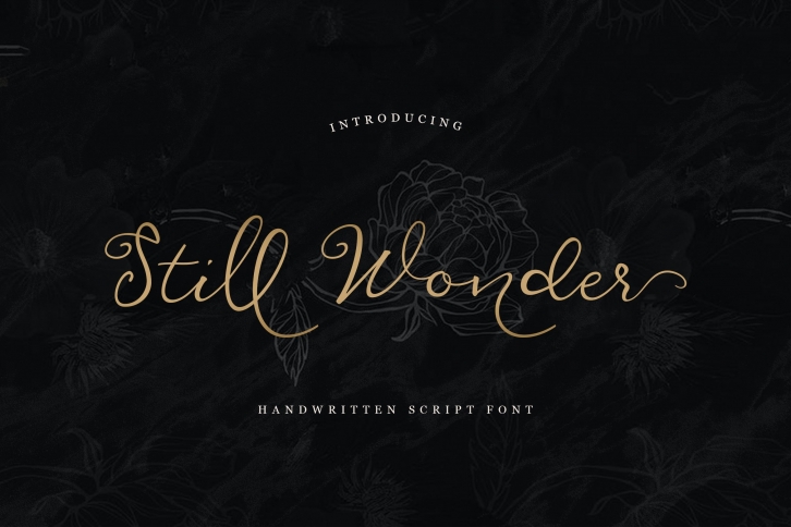 Still Wonder Script Font Download