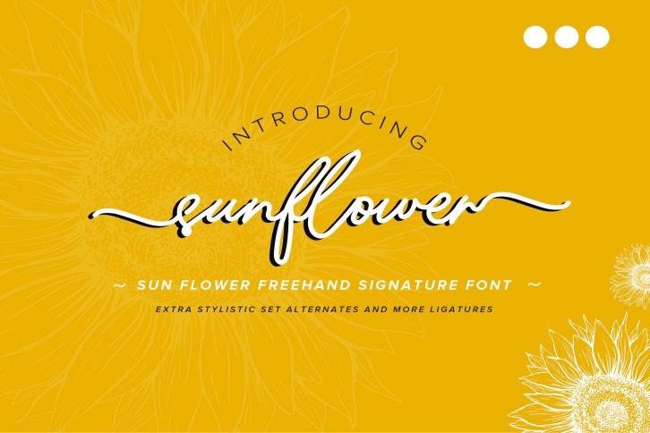 Sunflower | Freehand Signature Font Font Download