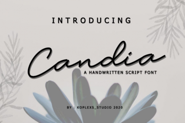 Candia Font Download