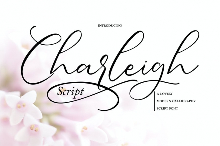 Charleigh | Modern Calligraphy Script Font Font Download