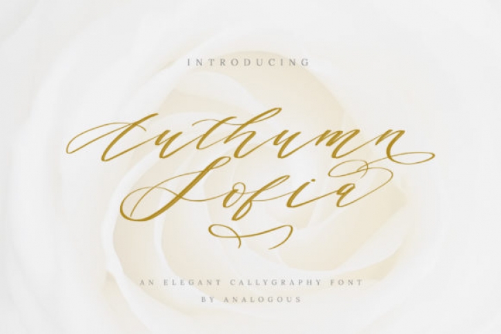 Authumn Sofia Font Download