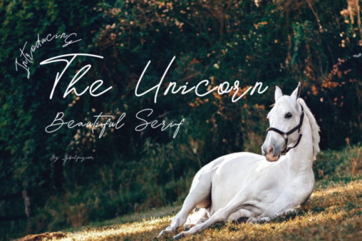 The Unicorn Font Download