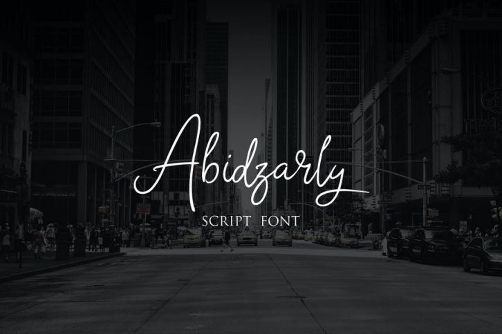 Abidzarly Script Font Font Download