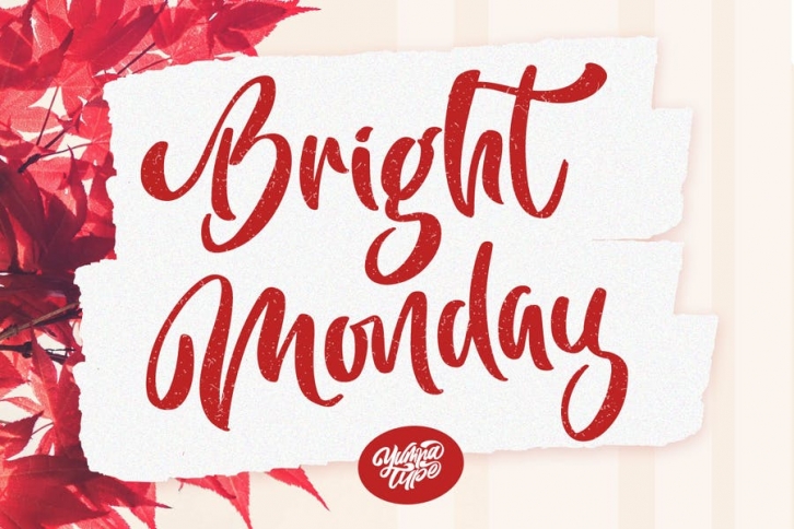 Bright Monday Script Font Download