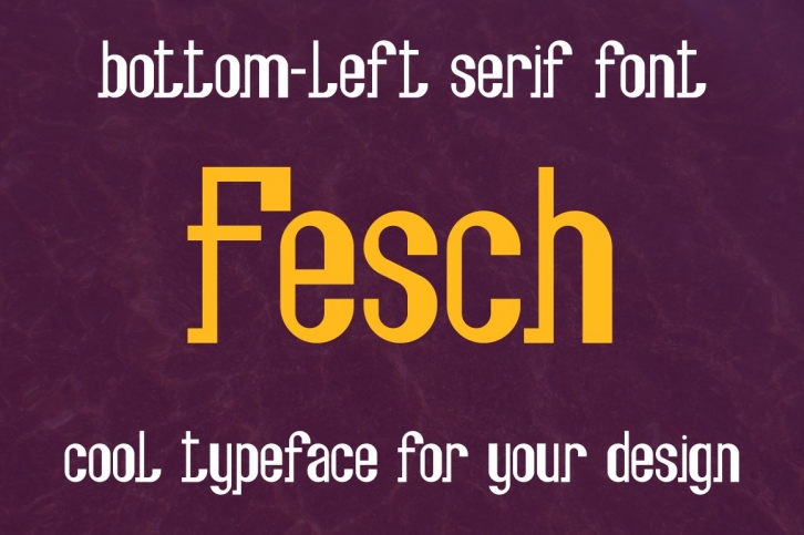 Fesch - bottom-left slab serif font Font Download