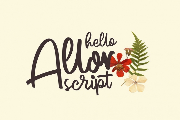 Allor Script Font Download