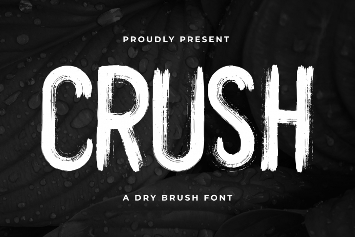 CRUSH FONT Font Download