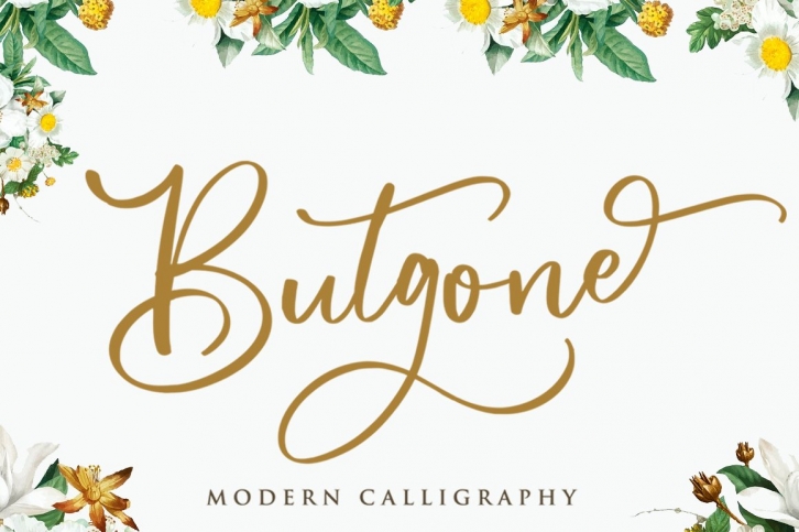 Butgone - Modern Calligraphy Font Font Download