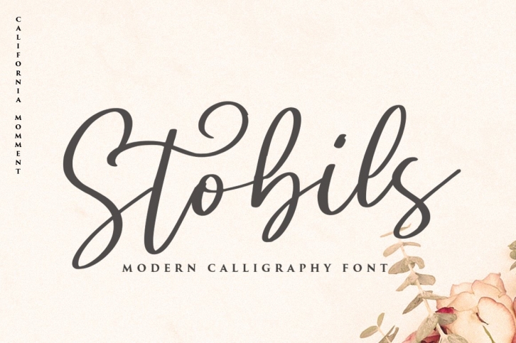 Stobils - Script Font Font Download
