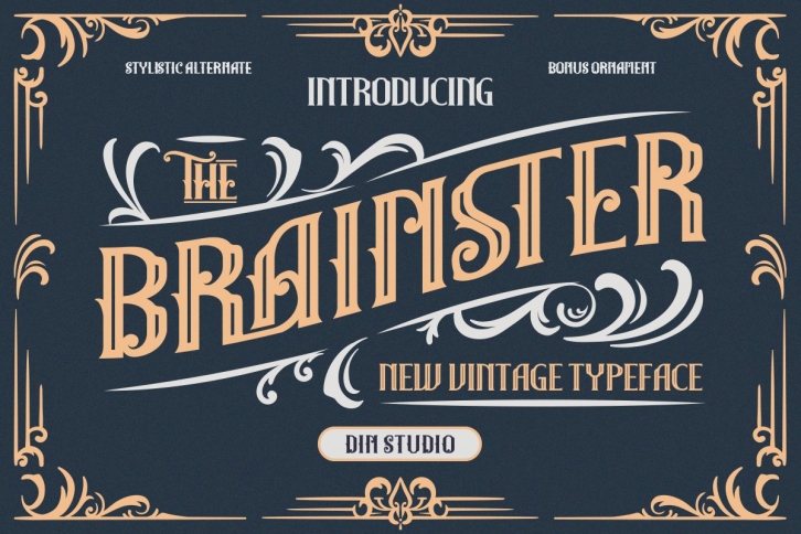 The Brainster - Display Font Font Download