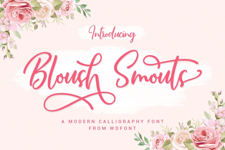 Bloush Smots Script | Modern Calligraphy Font Download