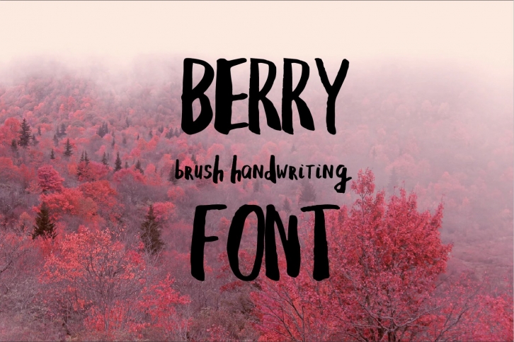 Berry brush handwriting font. Brush textured sans serif font Font Download