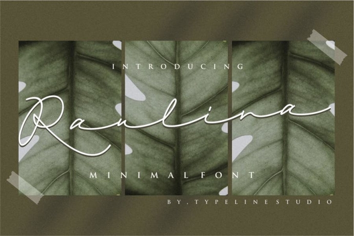 Raulina Font Download