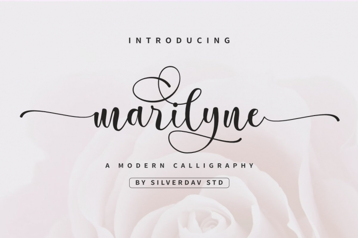 Marilyne Font Download