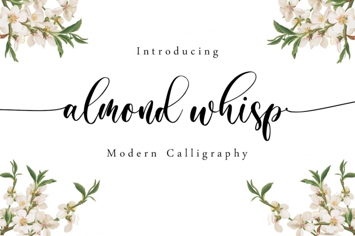 Almond Whisp - Modern Calligraphy Font Download